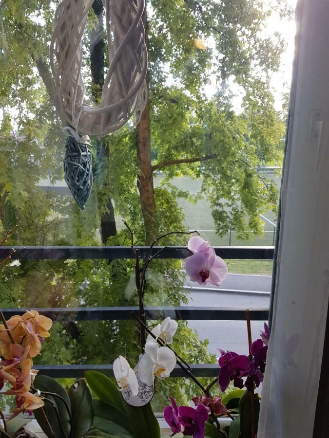 Studio Apartman Zagreb Zapad Vrapce Dış mekan fotoğraf